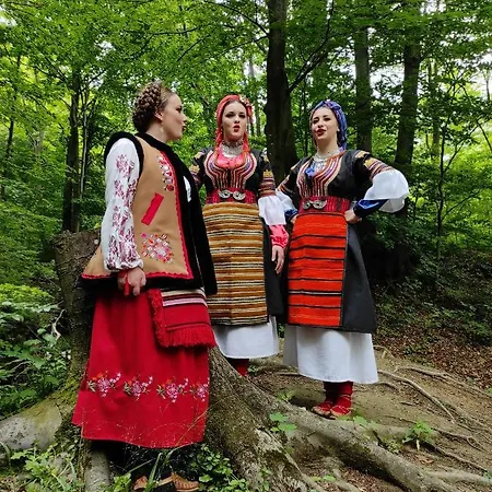 Zaovinski Raj Tara Villa