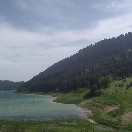 Zaovinski Raj Tara Villa *