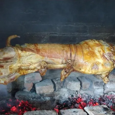 Zaovinski Raj Tara Konjska Reka