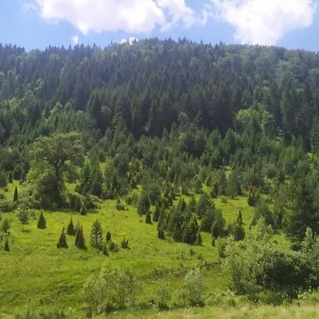Zaovinski Raj Tara *
