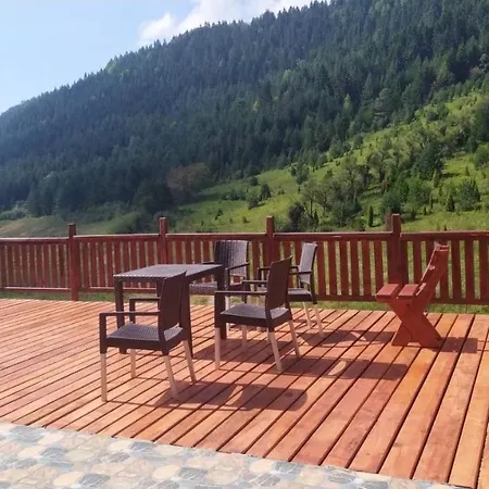 Villa Zaovinski Raj Tara *