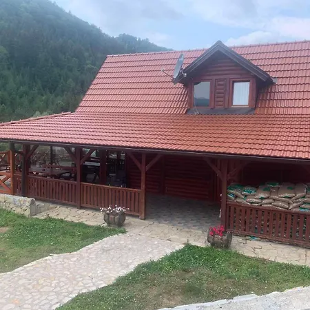 Villa Zaovinski Raj Tara *