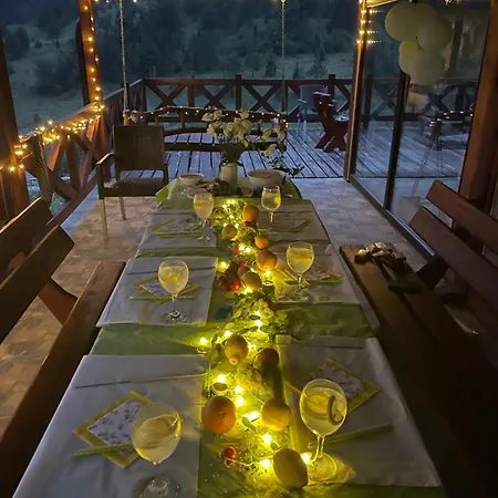 Villa Zaovinski Raj Tara Konjska Reka